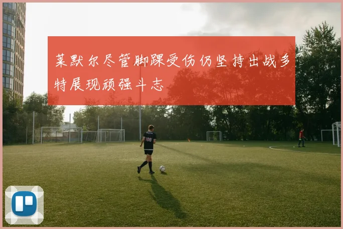 莱默尔尽管脚踝受伤仍坚持出战多特展现顽强斗志
